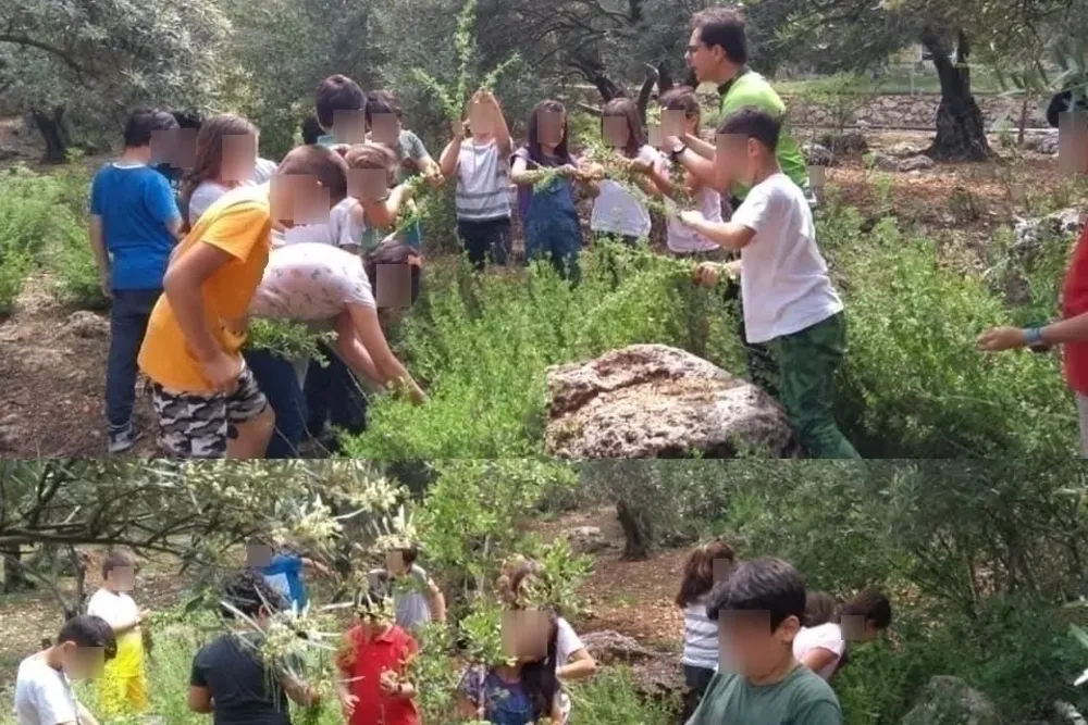 Ekoloji etkinliği, çocuklar