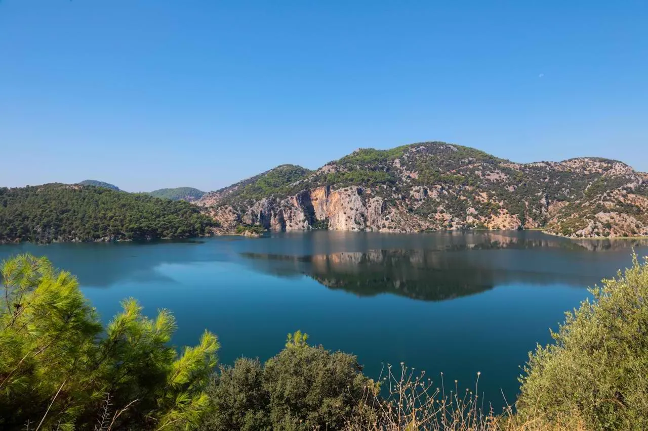 Muğla Endemik Bitkileri